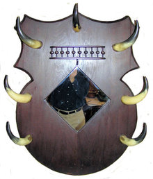Vintage Western Mirror w Bull Steer Horns