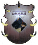 Vintage Western Mirror w Bull Steer Horns