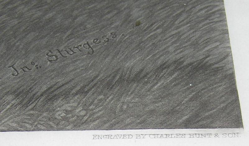 Equestrian Sporting Scene Charles Hunt Engraving After John Sturgess Painting