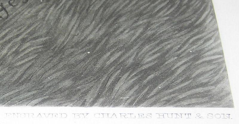 Equestrian Sporting Scene Charles Hunt Engraving After John Sturgess Painting