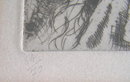 Marie Laurencin Etching Filles au Violoncelle