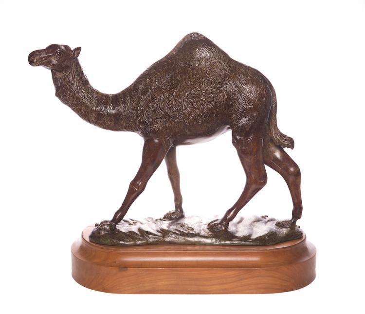 Arabian Camel Bronze on Stand