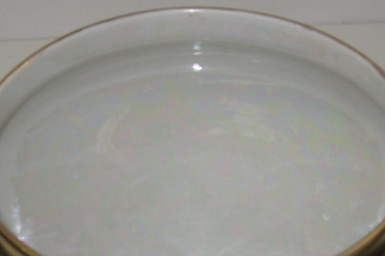 Delinieres & Co D&C Limoges Art Nouveau Porcelain Vase with Peacock Motif