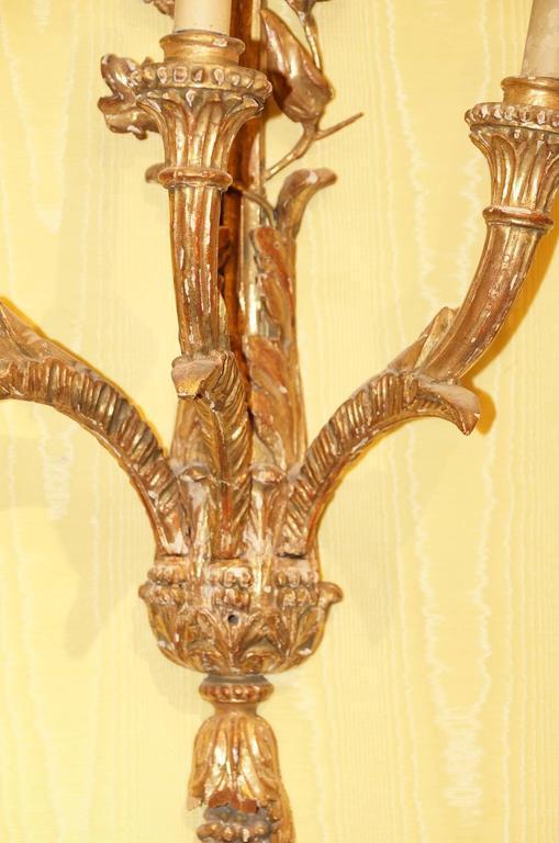 Pair Italian Rococo Giltwood Sconces