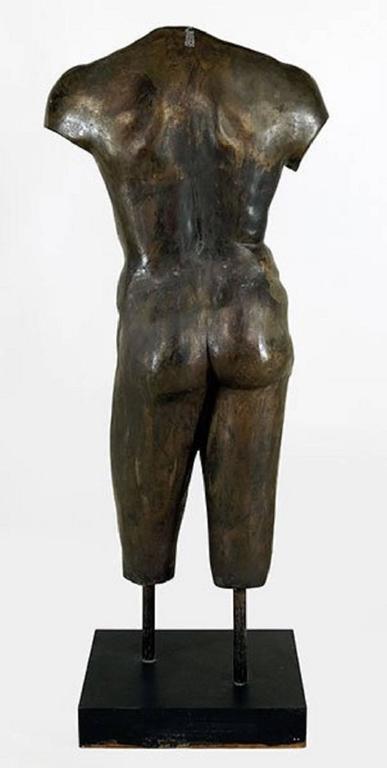Lifesize Bronze Female and Male Torsos After the Antique
