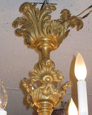 French Louis XV Style Dore Bronze 15-Light Chandelier