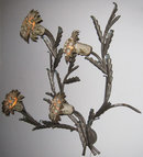 Mid-century 4-Light Flower Petal Metal Wall Sconce
