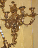Pair of Organic Form Ormolu Bronze Louis XV Style Sconces
