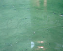 Green Glass Centerpiece by Schneider