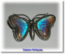 Beautiful Vintage English Silver Morpho Butterfly Brooch