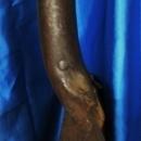 Antique COAL MINER'S Shovel with D shaped Wooden Handle _Shovel STAMPED T_ coal mining