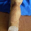 ORIGINAL Folk Art HAND CARVED in Wood_ Large BEAVER _Signed: J D MacLennan