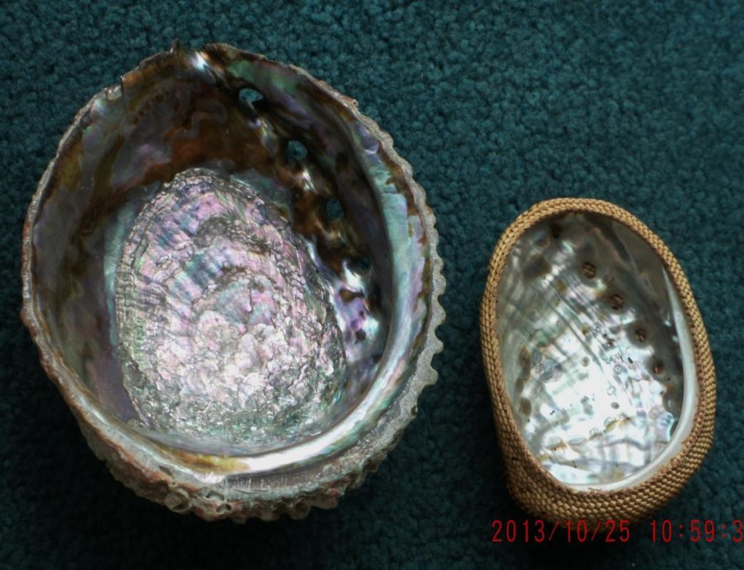 North American Native ART Very Finely Woven BASKETRY over Abalone Shell_ Lucy Paviao Kluky _ Nootka tribe + LARGE Abolone Shell