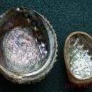 North American Native ART Very Finely Woven BASKETRY over Abalone Shell_ Lucy Paviao Kluky _ Nootka tribe + LARGE Abolone Shell