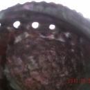 North American Native ART Very Finely Woven BASKETRY over Abalone Shell_ Lucy Paviao Kluky _ Nootka tribe + LARGE Abolone Shell