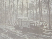 Photography Collectible MILITARY MUSEUM WW2 Picture Canadian Forestry Corps S.E. of NIEMAGEN HOLLAND 1944