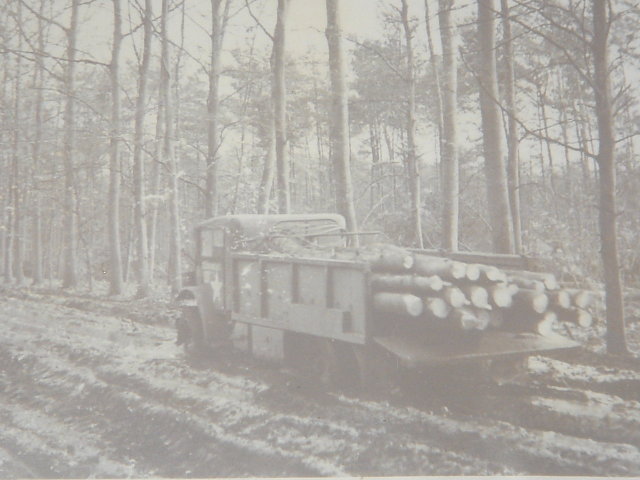 Photography Collectible MILITARY MUSEUM WW2 Picture Canadian Forestry Corps S.E. of NIEMAGEN HOLLAND 1944
