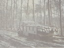Photography Collectible MILITARY MUSEUM WW2 Picture Canadian Forestry Corps S.E. of NIEMAGEN HOLLAND 1944