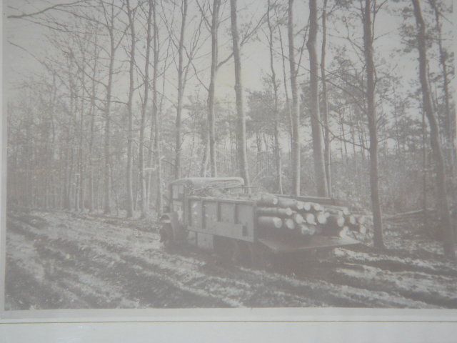 Photography Collectible MILITARY MUSEUM WW2 Picture Canadian Forestry Corps S.E. of NIEMAGEN HOLLAND 1944