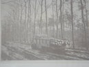 Photography Collectible MILITARY MUSEUM WW2 Picture Canadian Forestry Corps S.E. of NIEMAGEN HOLLAND 1944