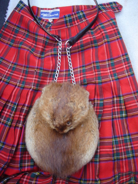 SPORRAN,FULL MASK Muskrat ~ from MacGregor ESTATE ~ ULTIMATE in Evening Wear ~Leather Strap with Chain Also FULL GUSSET that is spacious _ Excellent Condition