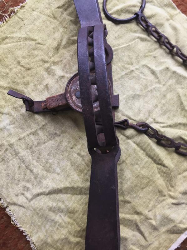 Antique TRIUMPH BEAR TRAP as found condition _ original part missing_ Unique WALL ART_ Original Patina_ still Beautiful image