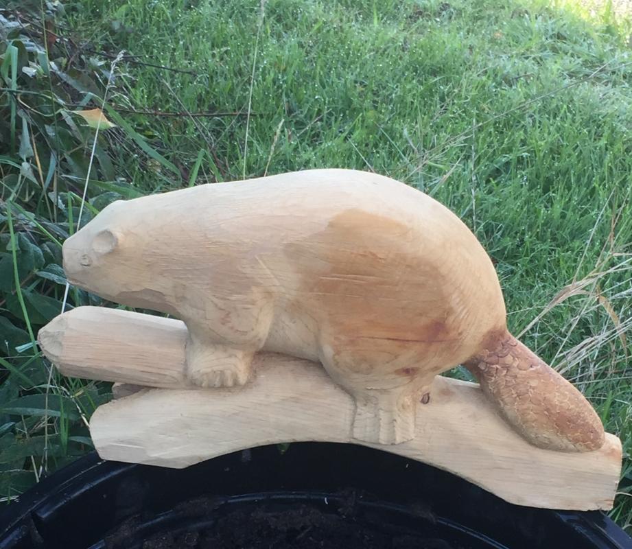 Antique Folk Art HAND CARVED & SIGNED_ 15 1/2 INCH Large_ Solid WOOD BEAVER _Signed: J D MacLennan