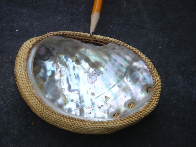 Reasonable Price for this QUALITY Collectible North American First Nations Basketry / Abolone Shell ~ Size 4.5 Inch Widest ~ Hand Woven by Nootka Master Basket weaver Lucy Paviao Kluky
