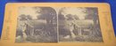 Antique STEREOVIEW CARD ~ Popular Series ~