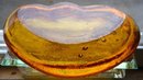 Blenko Blown Glass ASHTRAY _Art Glass_ Amber Glass Clamshell Freeform Design by Winslow Anderson 1950's