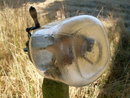 Kitchen Items Antique Hand-Crank BUTTER CHURN with Diamond Pattern inset in Original Glass. PRICE CHURN possible a division of Dazey Butter Churns. In Excellent Condition
