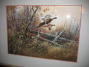 Sporting Art by Gregory F. Messier- Pheasants