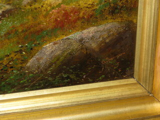 19th century American Landscapes by NY artist Alden Sampson
