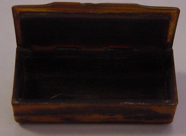 French Tortoise Shell & Horn Snuff Box
