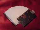 Tortoise Shell & Ivory Dance Card