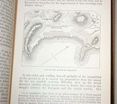 Fifteen Decisive Battles of the World:From Marathon to Waterloo