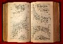 KJV HOLY BIBLE, c.1895, BLACK LEATHER, GILDED