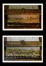 Double Fore Edge Painting, Moore's Poetical, 1875 Fine Gilded Binding