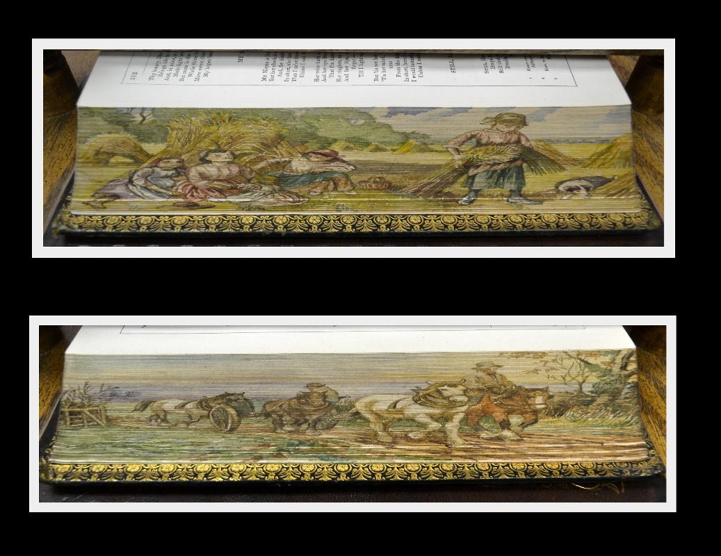 Double Fore Edge Painting, Moore's Poetical, 1875 Fine Gilded Binding