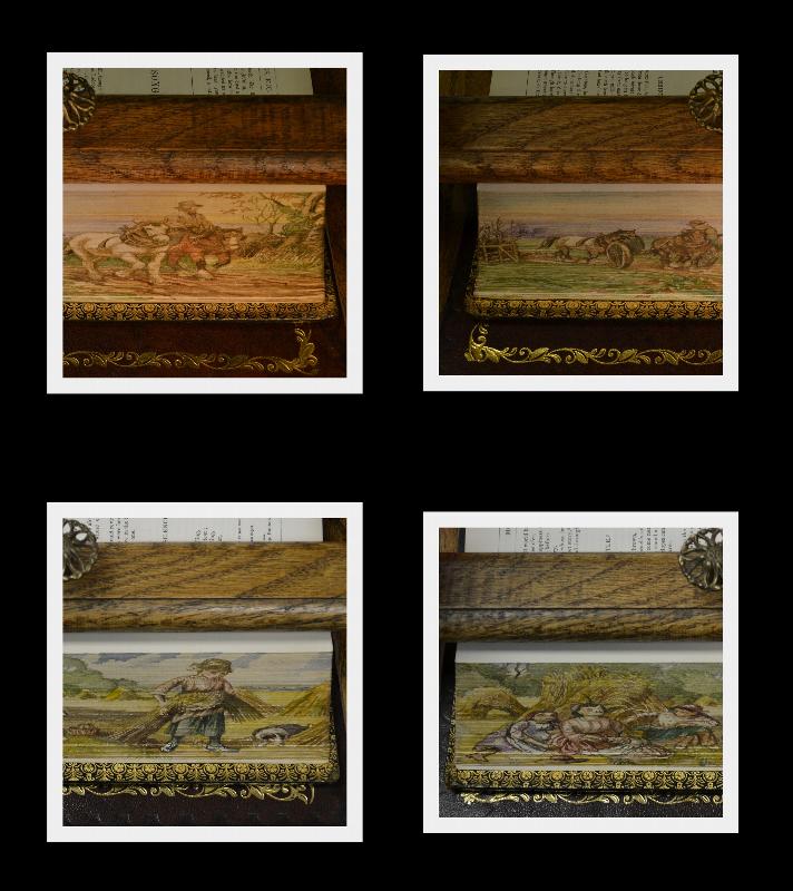 Double Fore Edge Painting, Moore's Poetical, 1875 Fine Gilded Binding