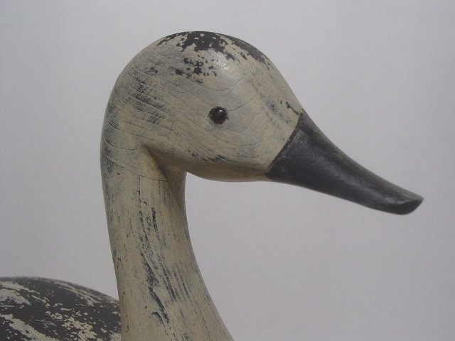 Snow Goose Decoy