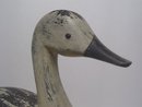 Snow Goose Decoy