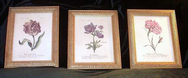 Three Framed Prints Flowers