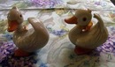 Pair of Adorable Ducks by Homeco