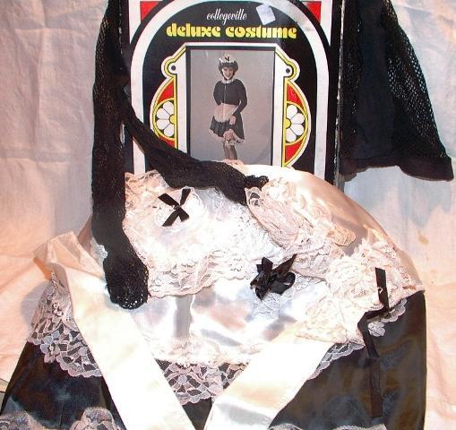 Vintage Masquerade Costume French Maid