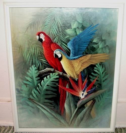 Parrots and Birds of Paradise 17