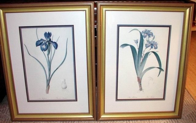 Vintage Iris Prints Pair 24