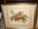Pair of Old Fruit Prints Framed