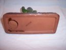 Japan Mexican Siesta Under Cactus Salt and