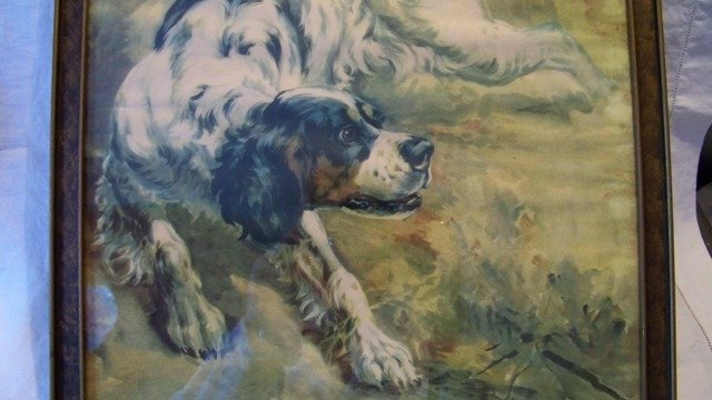 Edmund Osthaus Mars Guy Llewelyn Setter